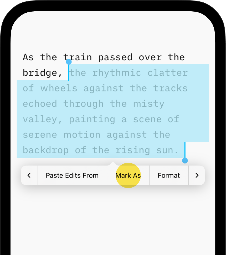 A screenshot of a text with a portion selected, showing a pop-up menu with the 